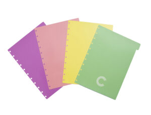 Separadores cuaderno inteligente grande color pastel