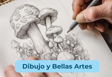 Dibujo y Bellas Artes